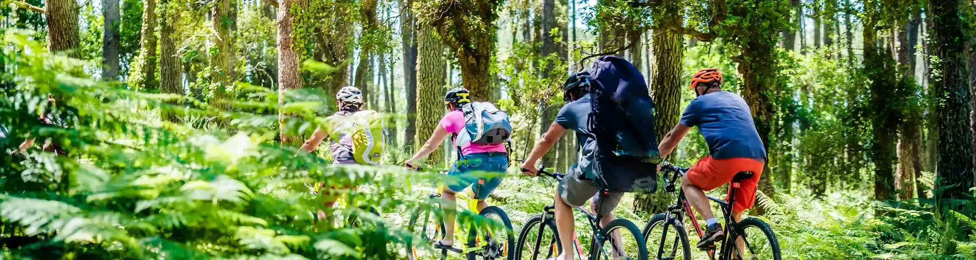 sejou ecologique soulac mer