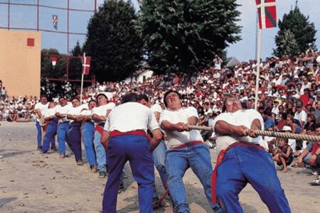 force basque basque country