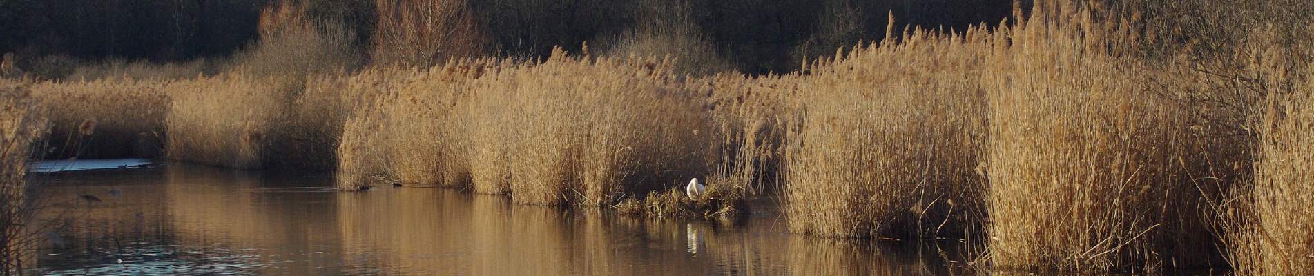 parcs naturels soulac