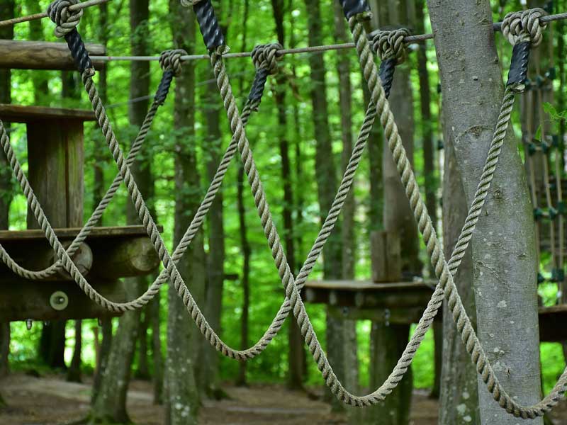 L'accrobranche, une activité insolite à faire en Gironde