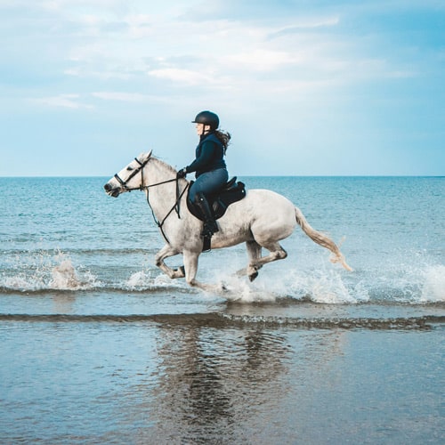 balade a cheval dans le medoc