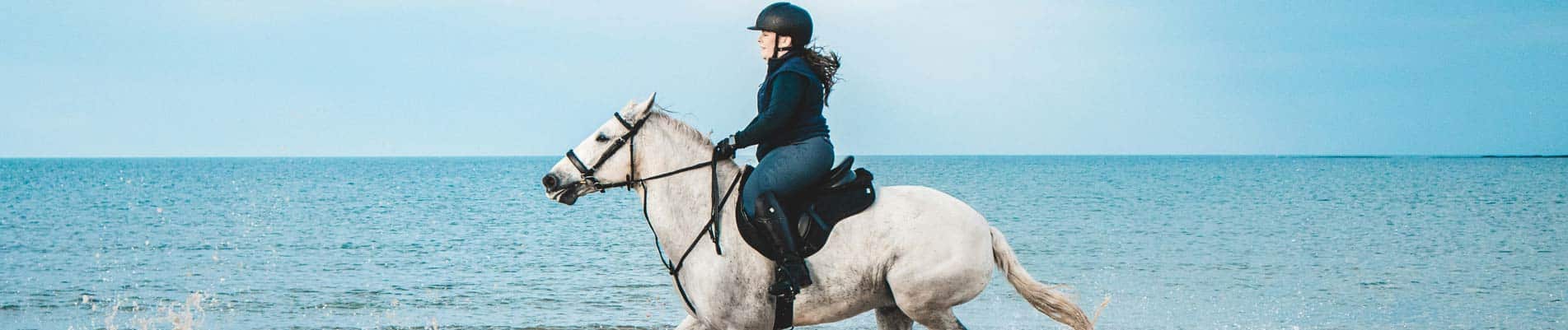 Balade à cheval dans le Médoc