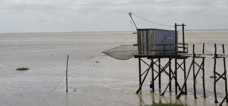 ostreiculture parc regional medoc