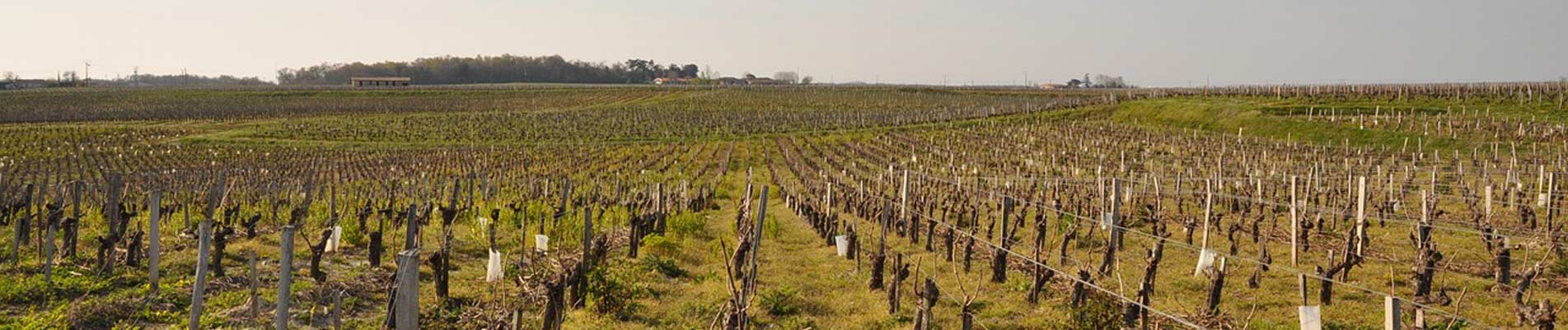 Parc Naturel Régional du Médoc