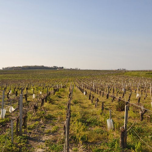 Parc Régional du Médoc
