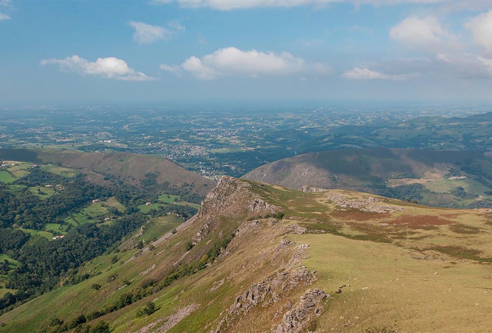 das Rennen der Kreta