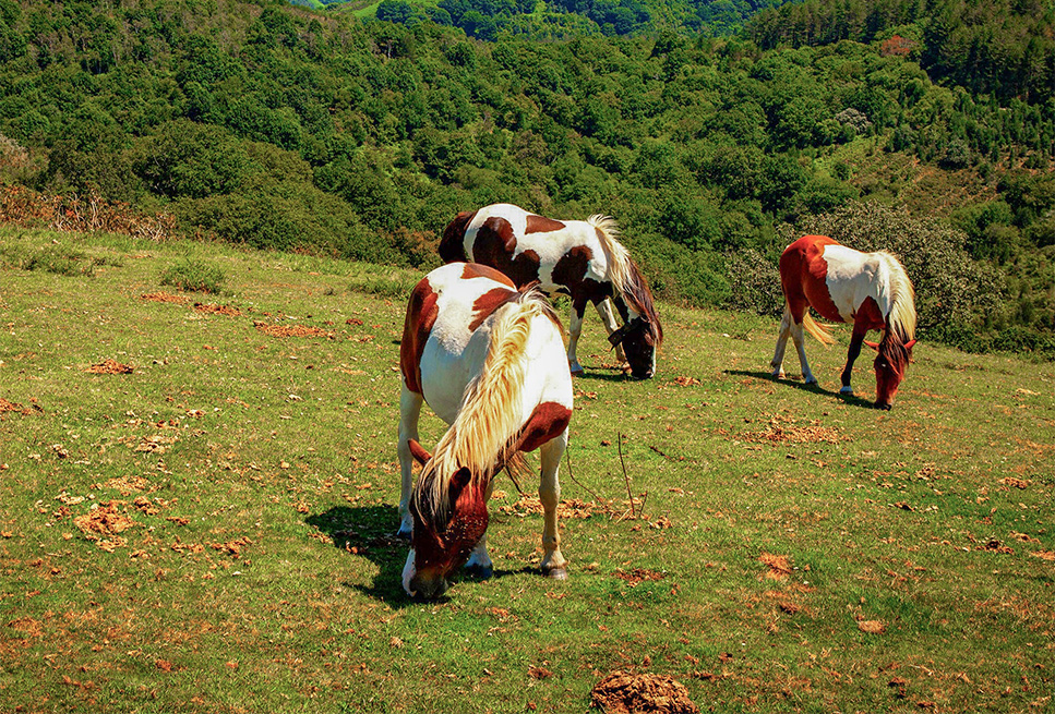 paraje natural excepcional